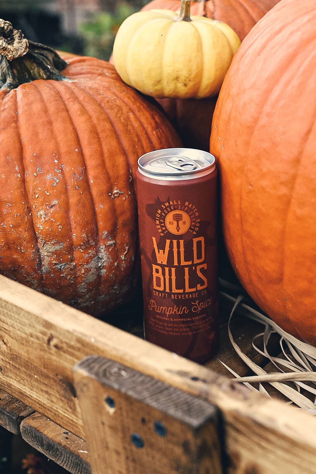 Pumpkin Spice - Premium Cane Sugar Soda, 12-Pack, Cans