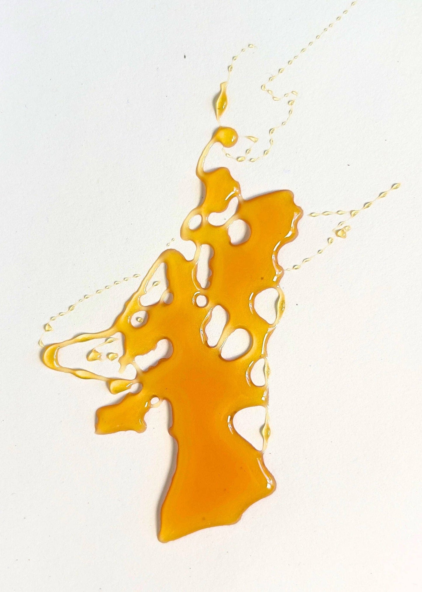 Oregon Meadowfoam Honey - Green Dream Pantry