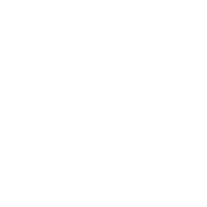 feature-item-3
