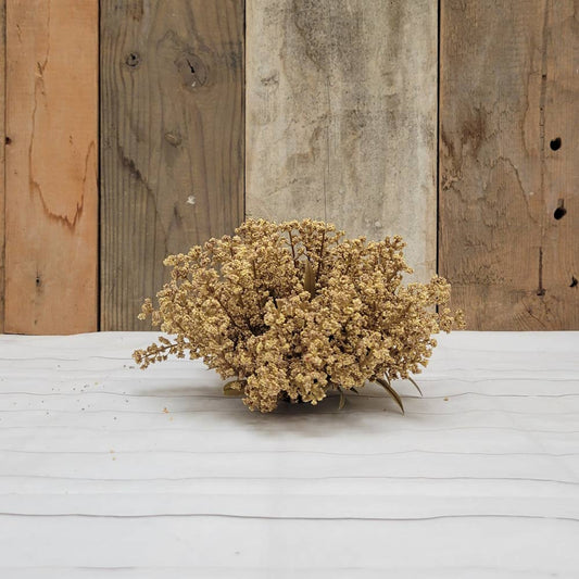 Flax Colored Half Sphere of Astilbe
